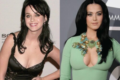 katy perry before famous